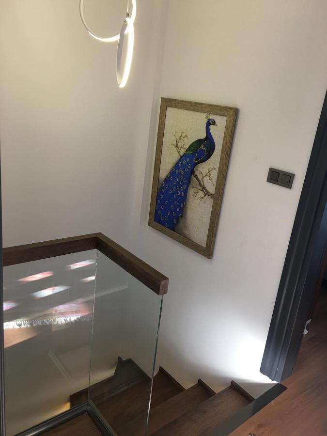 Villa Yilmaz Dream Holiday كوشاداسيه المظهر الخارجي الصورة