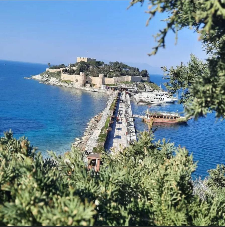 Villa Yilmaz Dream Holiday كوشاداسيه المظهر الخارجي الصورة
